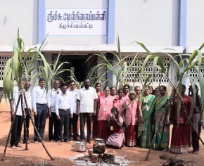 Samathuva Pongal   
